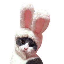 Load image into Gallery viewer, Bunny ears